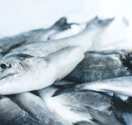 Jakub kapusnak v L Qzop DRSNI unsplash