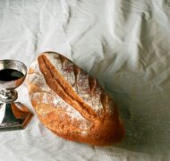 James coleman q XT Gr9m3o Uc unsplash