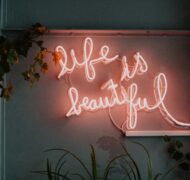 Katarzyna grabowska r MYGCAI z U unsplash