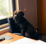 Marco palumbo akp Flw Jy9bc unsplash