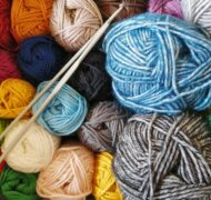 Margarida afonso ah M Cp Xd Ujv0 unsplash