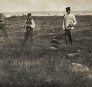 Gotland Jordbruk slåtter Nordiska Museet NMA 0041379